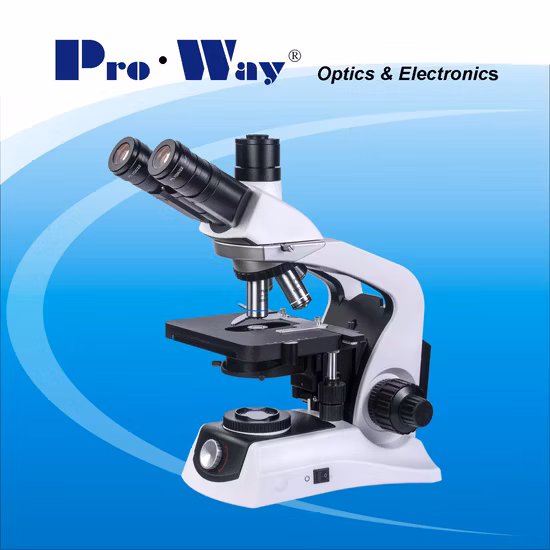 Microscopio biologico binoculare professionale a LED Seidentopf per laboratorio (XSZ-PW208)